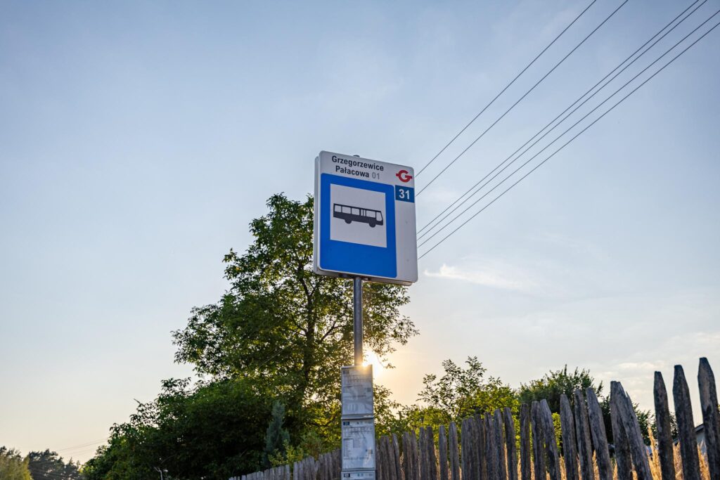 Piękna działka pod budowę domu Grzegorzewice - zdjęcie 20