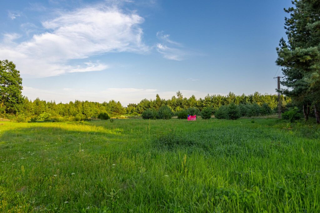 Piękna działka pod budowę domu Grzegorzewice - zdjęcie 21