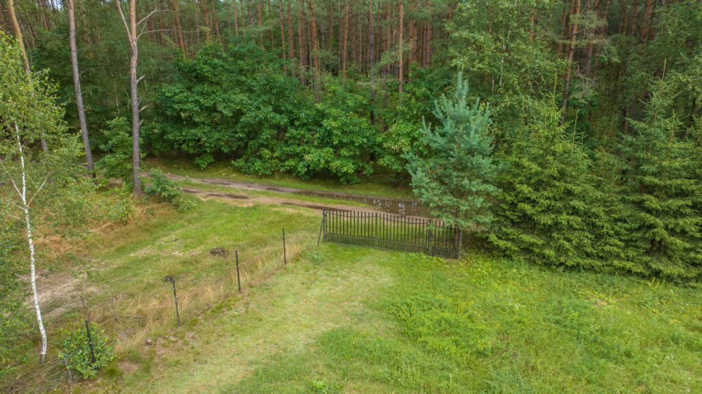 Działka siedliskowa pod lasem Więckowo - zdjęcie 3