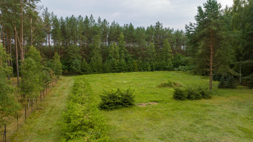 Działka siedliskowa pod lasem Więckowo - zdjęcie 4