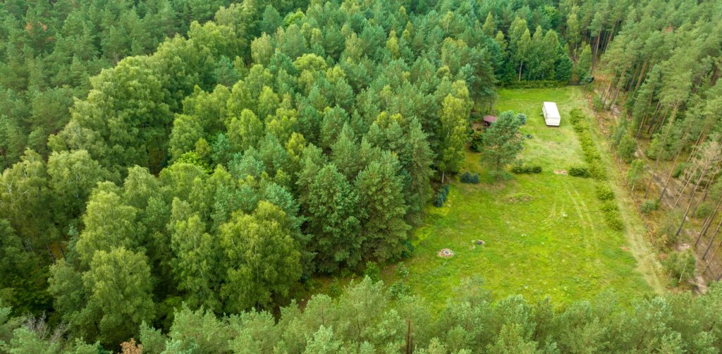 Działka siedliskowa pod lasem Więckowo - zdjęcie 9