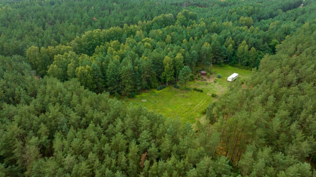 Działka siedliskowa pod lasem Więckowo - zdjęcie 10