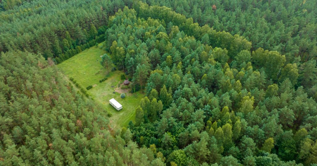Działka siedliskowa pod lasem Więckowo - zdjęcie 12