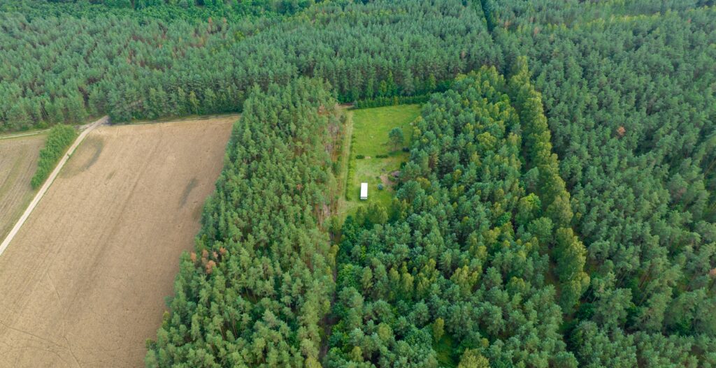 Działka siedliskowa pod lasem Więckowo - zdjęcie 13