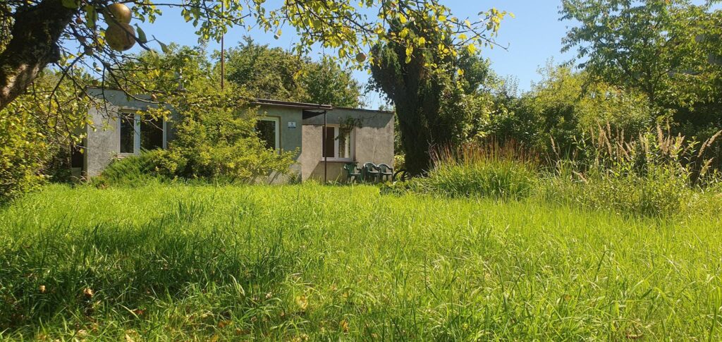 Umowa przedwstępna ! - zdjęcie 1