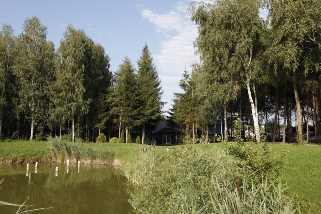 Piękny nowy dom do wynajęcia, Bobrowo-Kolonia - zdjęcie 4