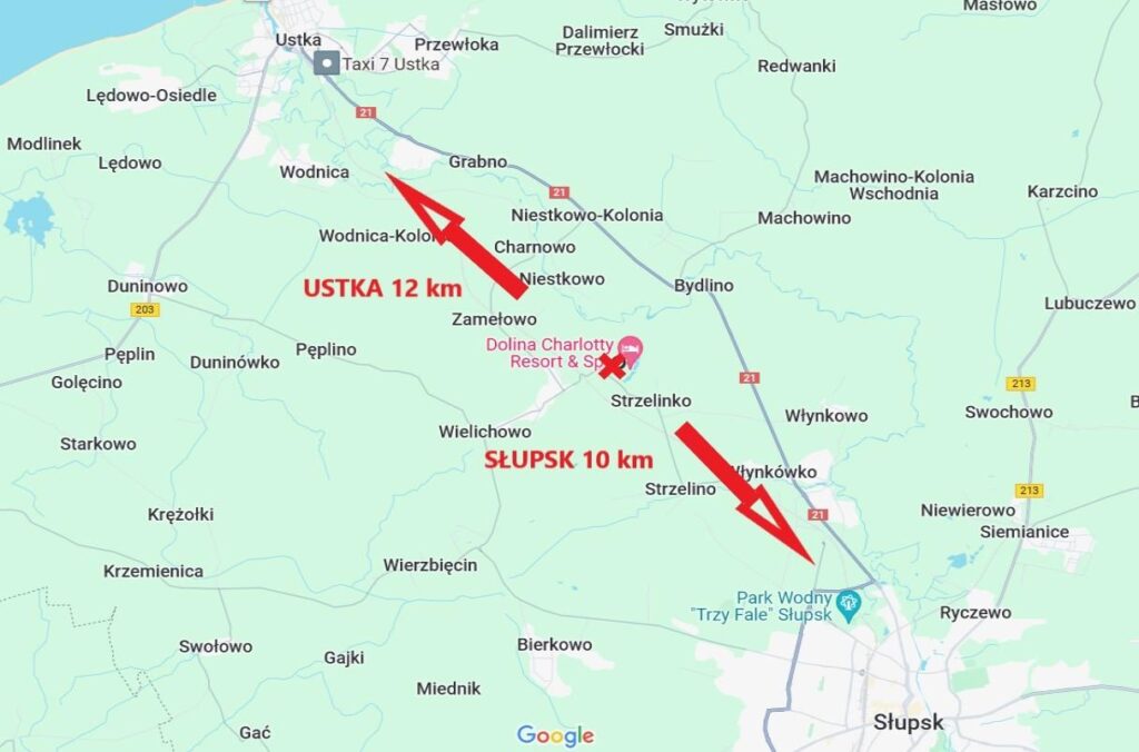Działka Gałęzinowo, 3574m2, 8km od morza - zdjęcie 5
