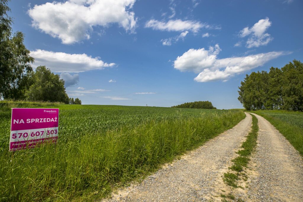 Działka z WZ siedliskowa 46 ar – Strzyżów okolice - zdjęcie 2