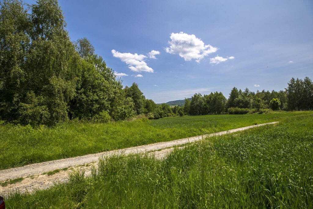 Działka z WZ siedliskowa 46 ar – Strzyżów okolice - zdjęcie 5