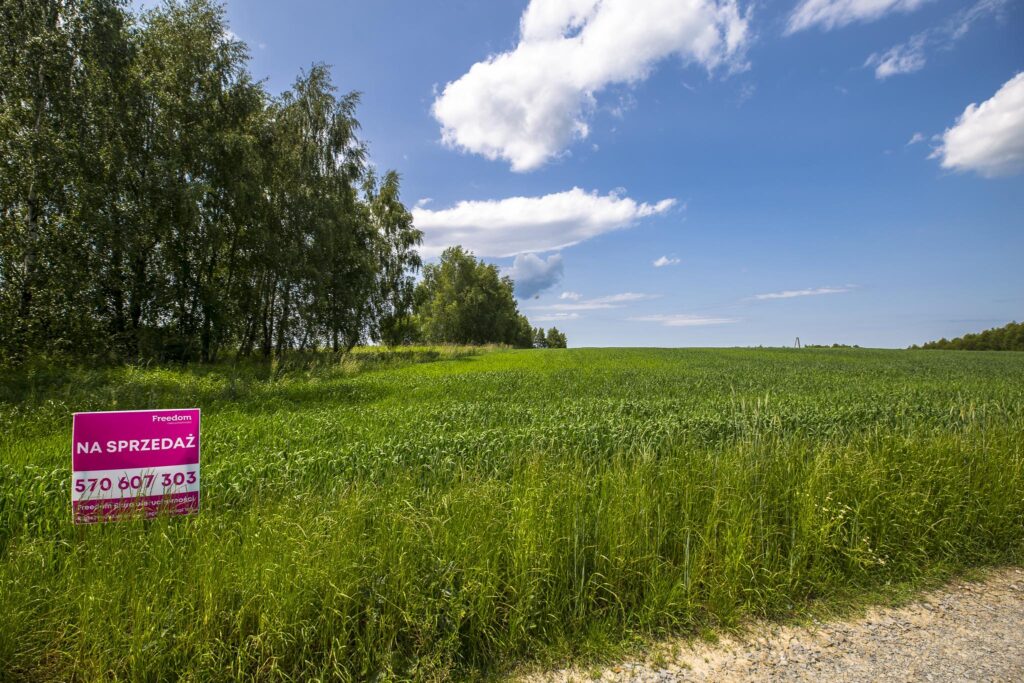 Działka z WZ siedliskowa 46 ar – Strzyżów okolice - zdjęcie 9