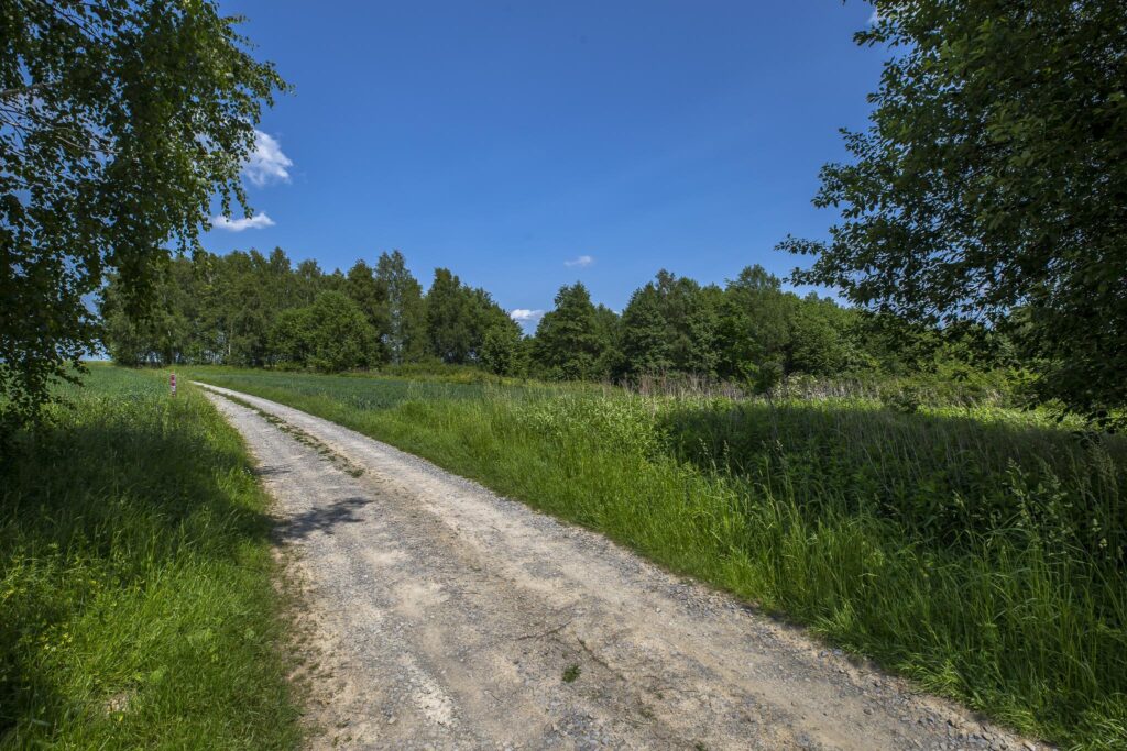 Działka z WZ siedliskowa 46 ar – Strzyżów okolice - zdjęcie 7