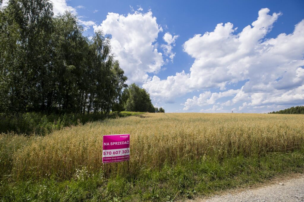 Działka z WZ siedliskowa 46 ar – Strzyżów okolice - zdjęcie 10