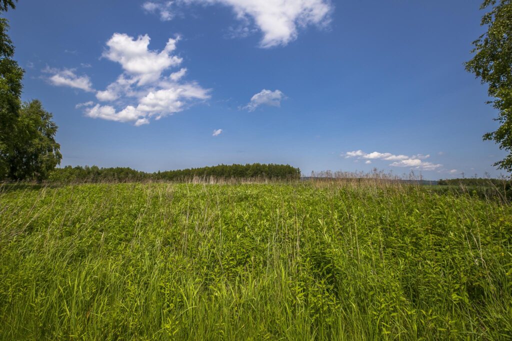 Działka z WZ siedliskowa 46 ar – Strzyżów okolice - zdjęcie 11