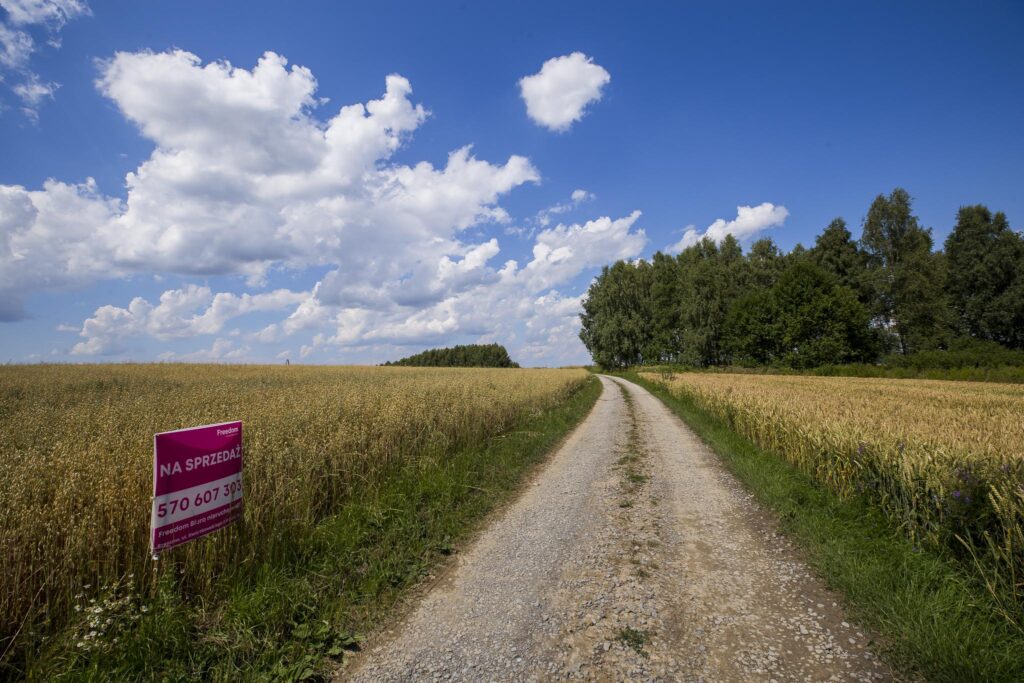 Działka z WZ siedliskowa 46 ar – Strzyżów okolice - zdjęcie 13