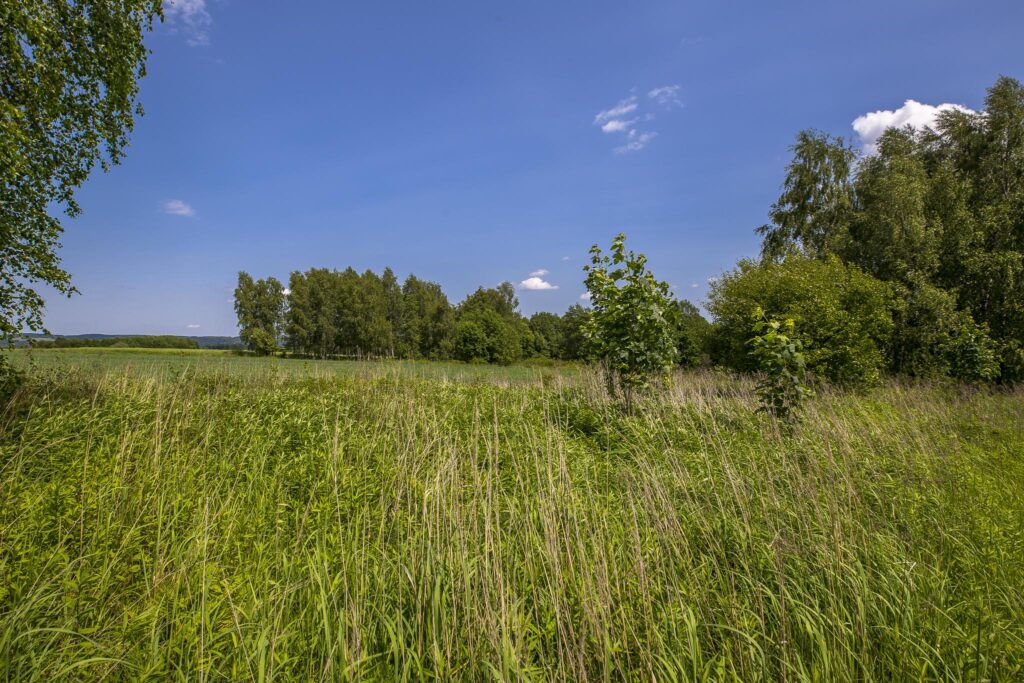 Działka z WZ siedliskowa 46 ar – Strzyżów okolice - zdjęcie 14