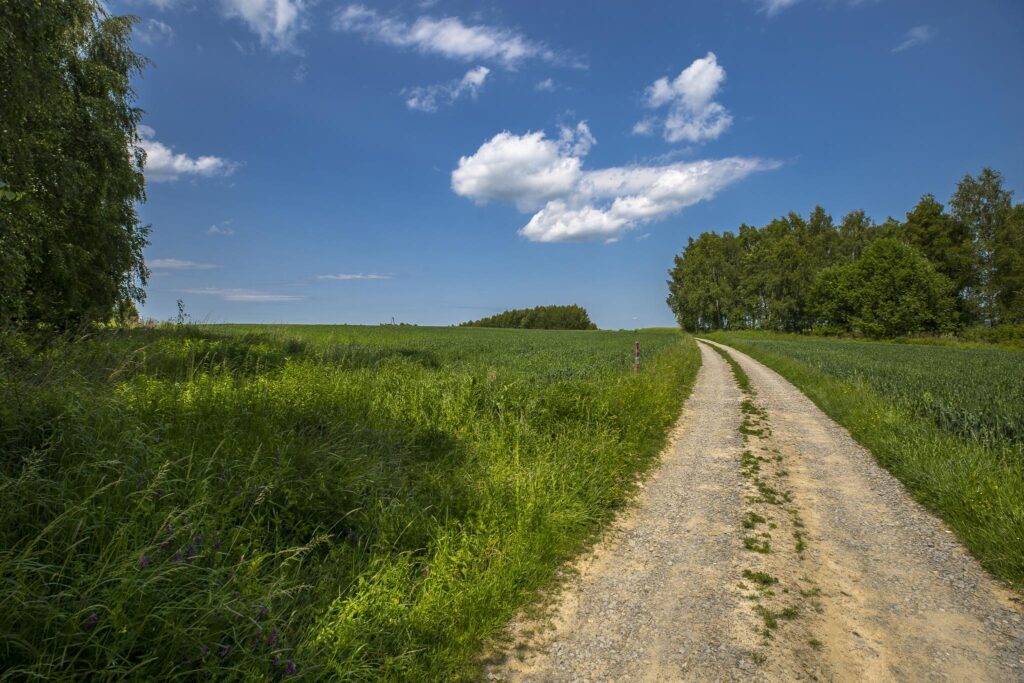 Działka z WZ siedliskowa 46 ar – Strzyżów okolice - zdjęcie 15