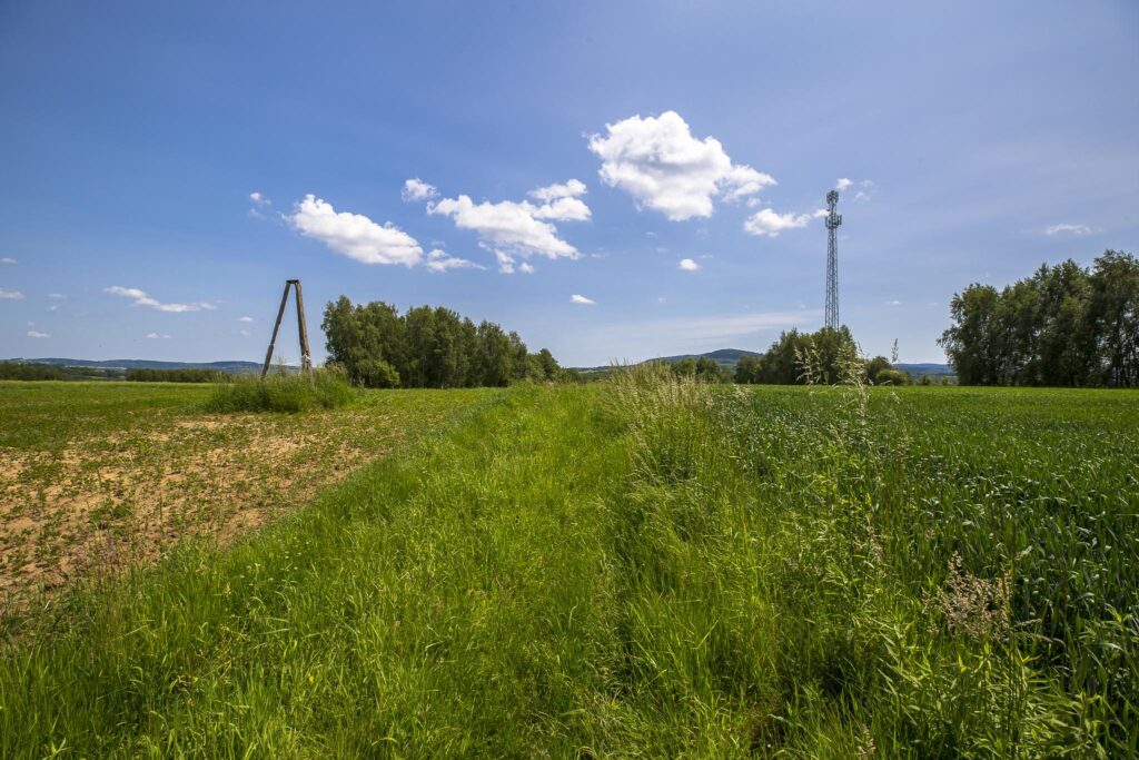 Działka z WZ siedliskowa 46 ar – Strzyżów okolice - zdjęcie 16