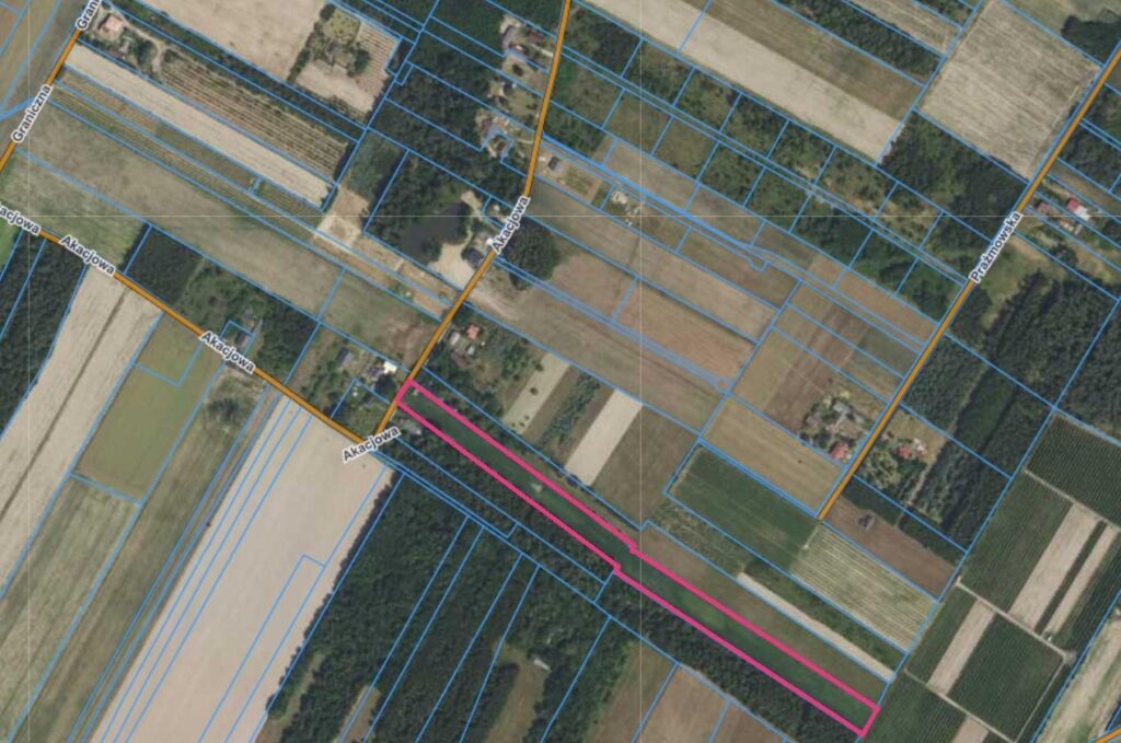 Siedlisko-Marków Towarzystw k/Mszczonowa - zdjęcie 5