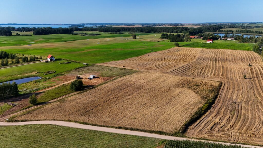Piękna działka 1,03 ha w Kleszczewie – Mazury - zdjęcie 16