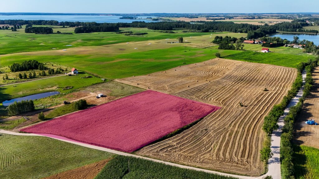 Piękna działka 1,03 ha w Kleszczewie – Mazury - zdjęcie 2