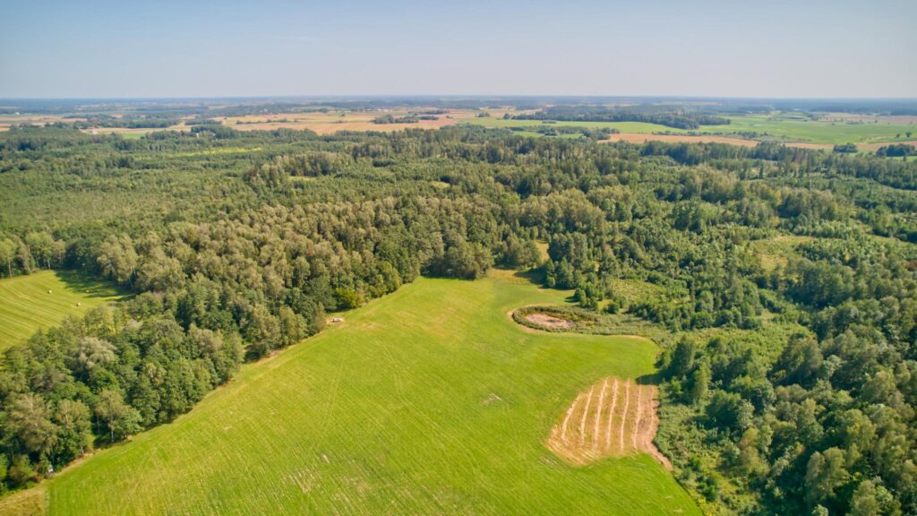 Duże działki 14 km od Ełku - zdjęcie 9