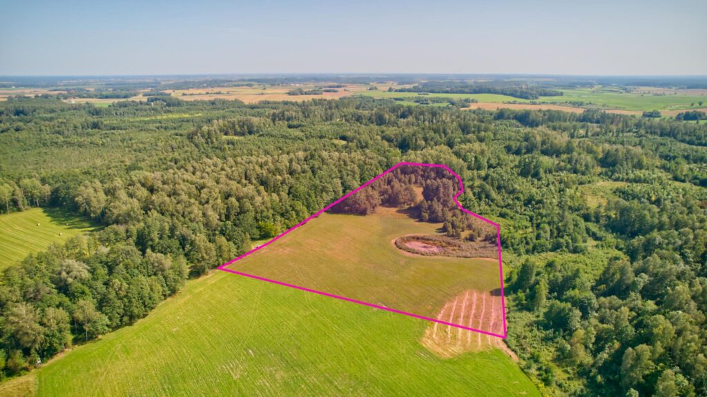 Duże działki 14 km od Ełku - zdjęcie 3