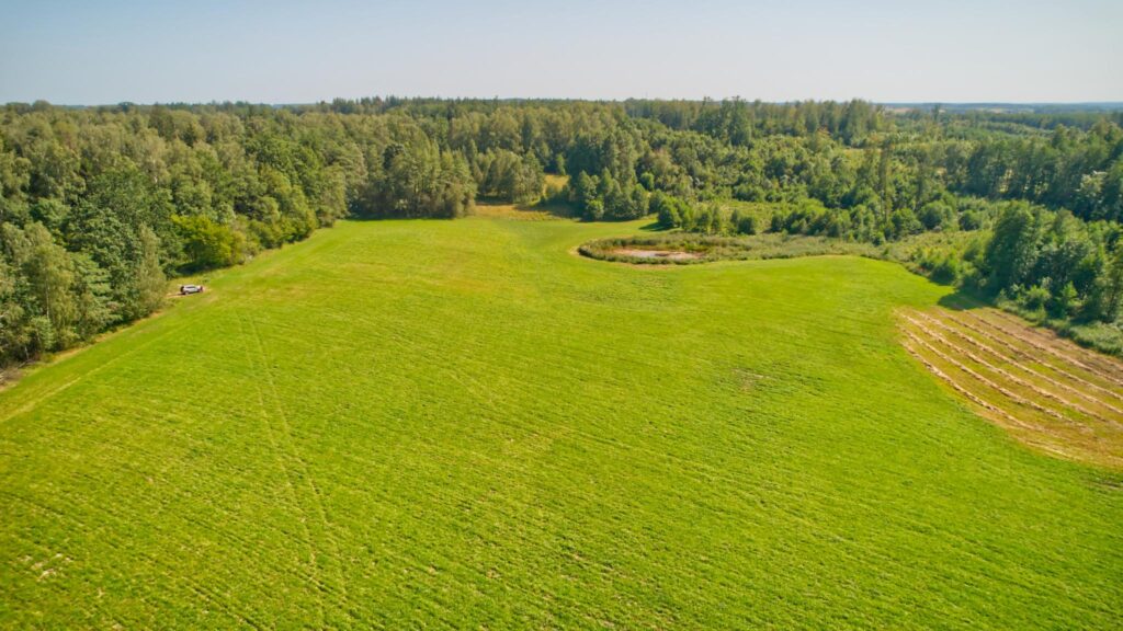 Duże działki 14 km od Ełku - zdjęcie 6