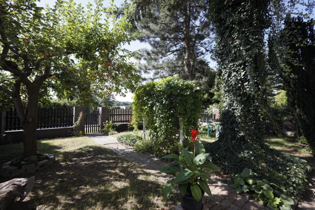 Dom nad samym Jeziorakiem – Lipowy Dwór, Iława - zdjęcie 23