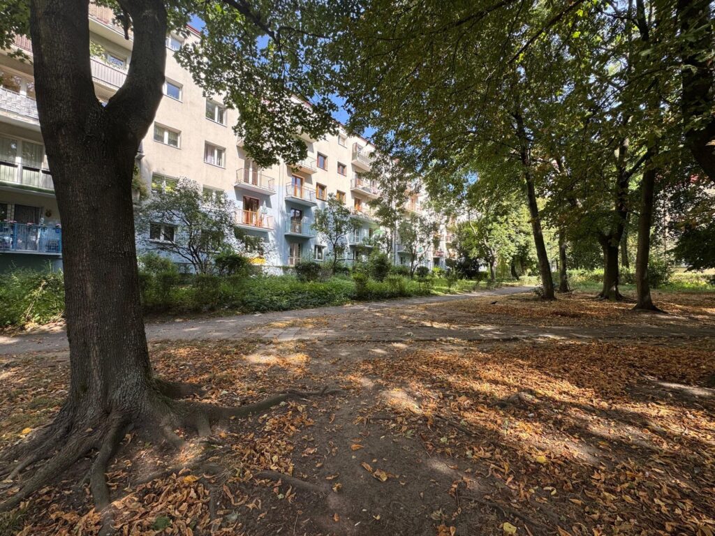Cisza i zieleń w centrum miasta, wolne od zaraz! - zdjęcie 18