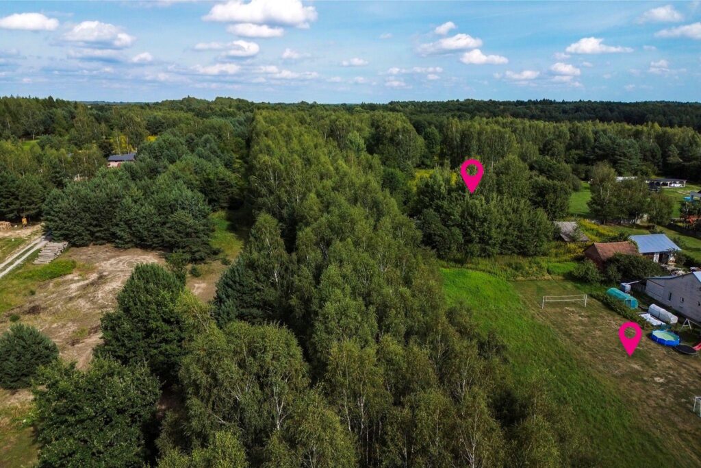Działka 81 ar z lasem | WZ w toku | Rakszawa - zdjęcie 1