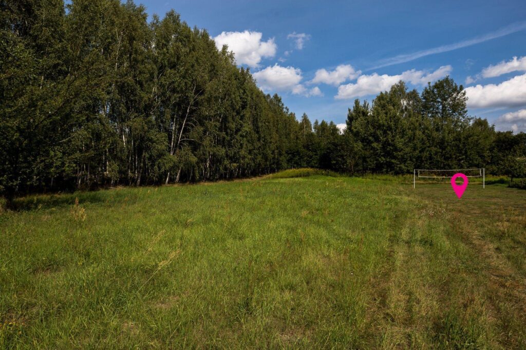 Działka 81 ar z lasem | WZ w toku | Rakszawa - zdjęcie 2