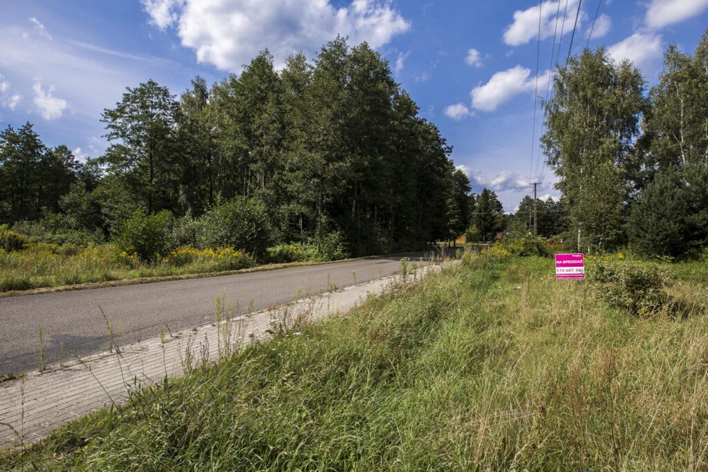 Działka 81 ar z lasem | WZ w toku | Rakszawa - zdjęcie 3