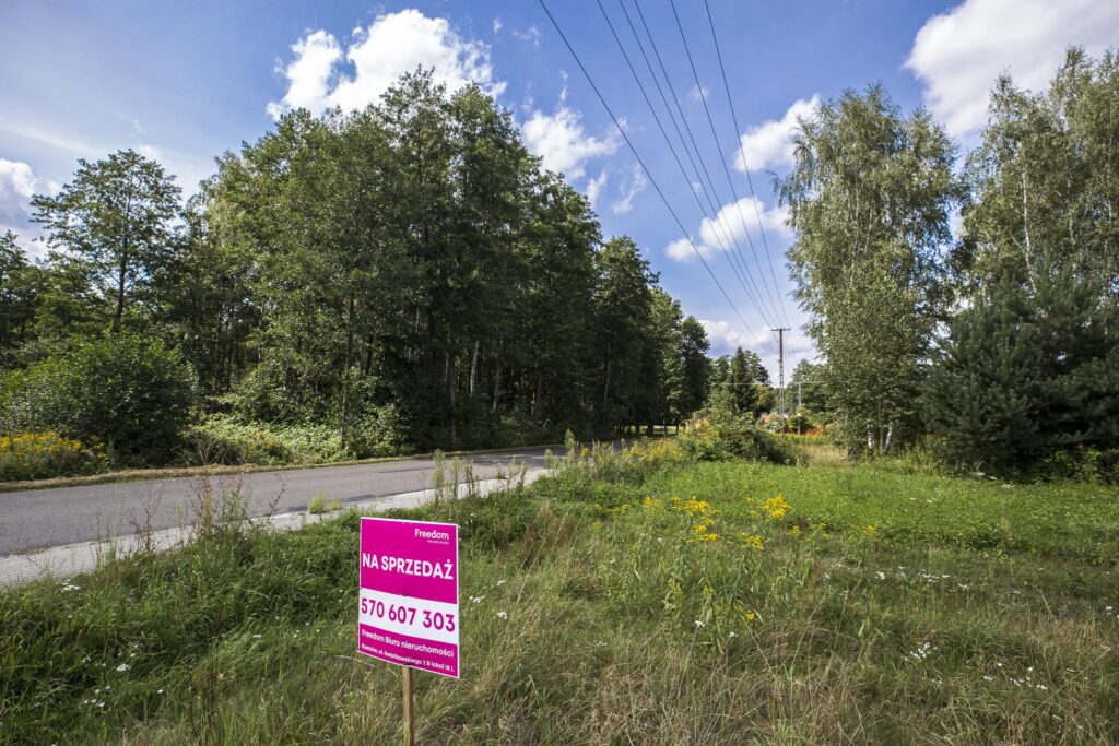 Działka 81 ar z lasem | WZ w toku | Rakszawa - zdjęcie 6