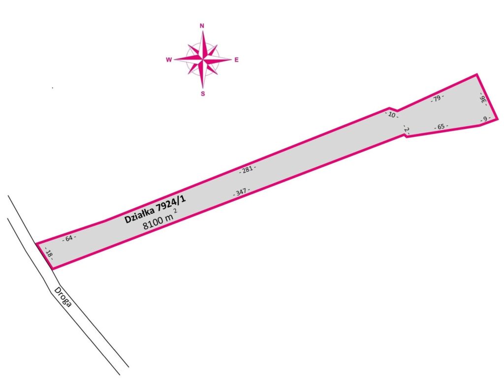 Działka 81 ar z lasem | WZ w toku | Rakszawa - zdjęcie 4