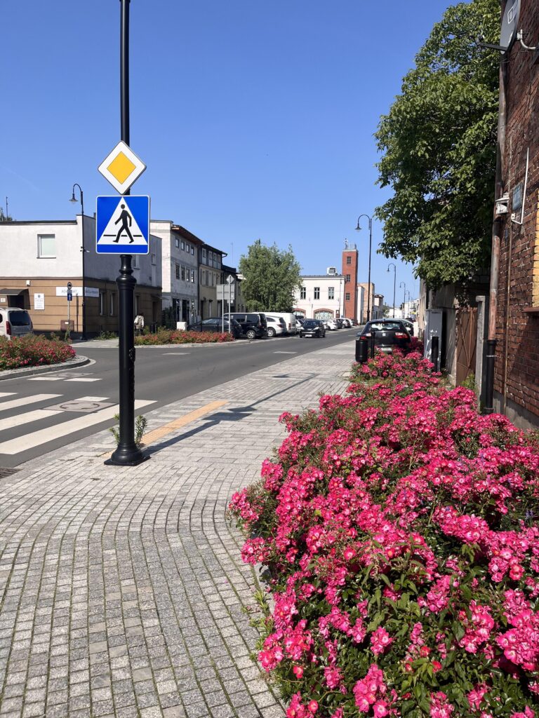 Inwestycyjna działka w samym sercu Swarzędza - zdjęcie 7