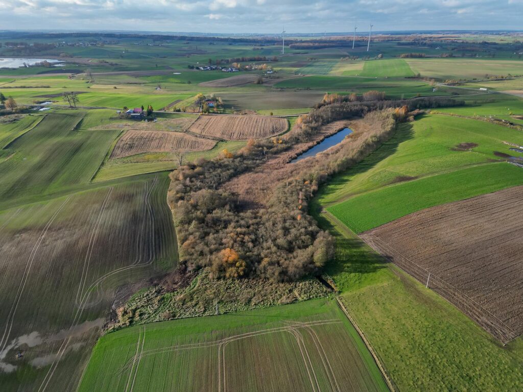 Idealne miejsce na wymarzone siedlisko. - zdjęcie 6