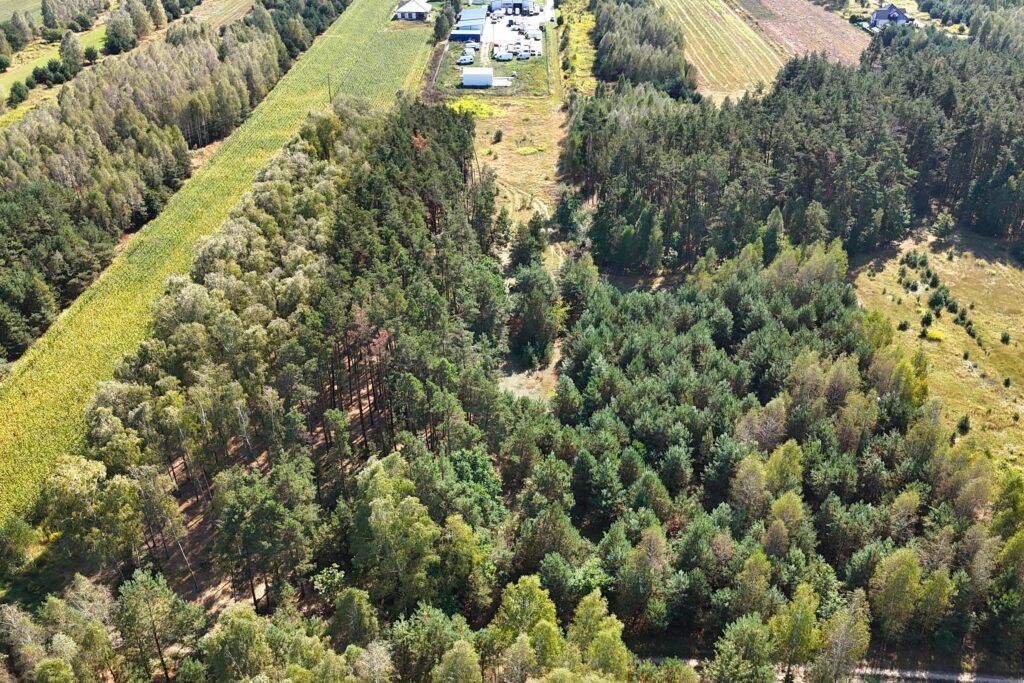 Działka 31,4 ar przy ul. Sosnowej w Dąbrówce Ług - zdjęcie 4