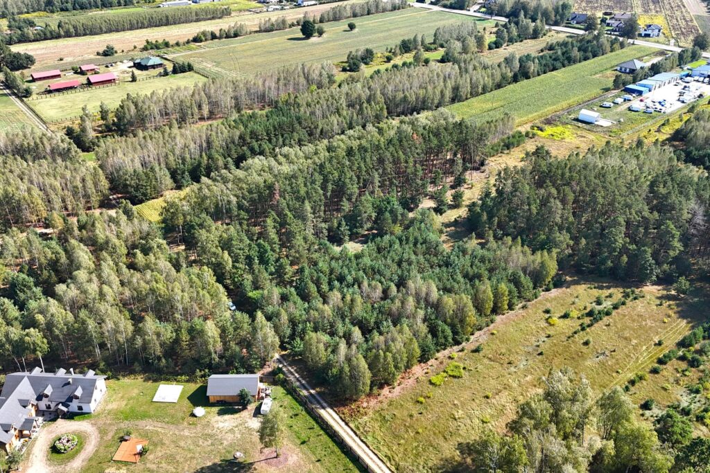 Działka 31,4 ar przy ul. Sosnowej w Dąbrówce Ług - zdjęcie 5