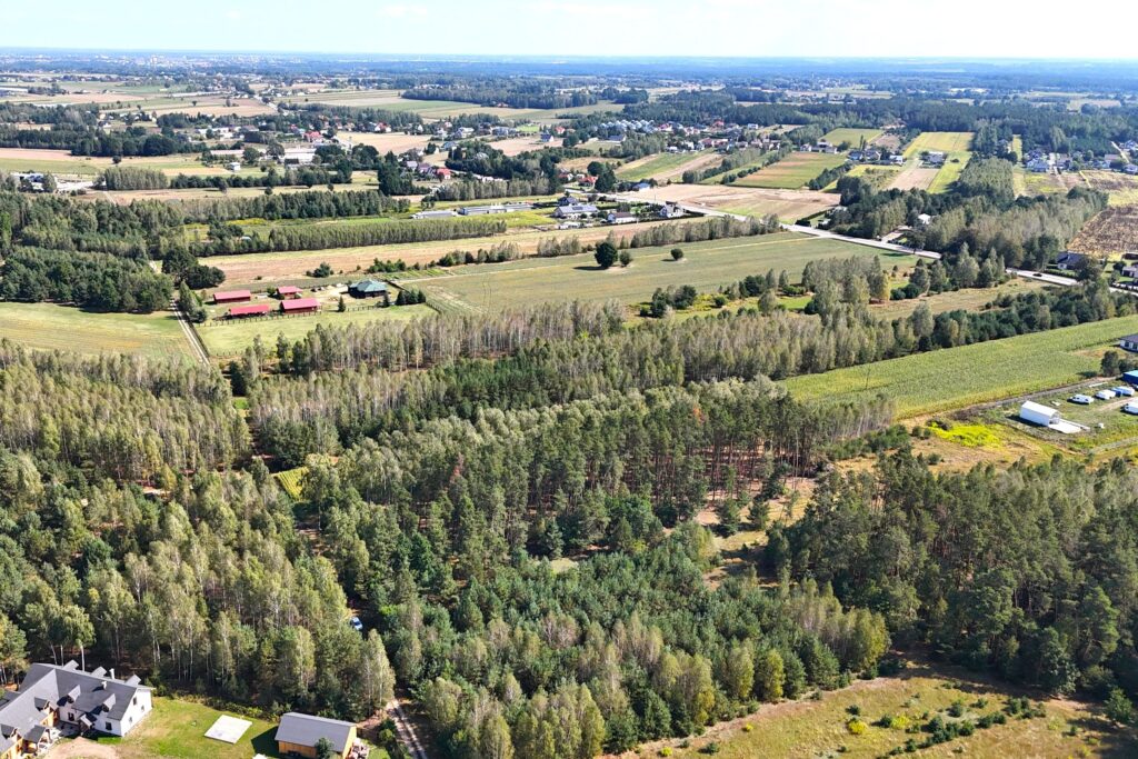Działka 31,4 ar przy ul. Sosnowej w Dąbrówce Ług - zdjęcie 7