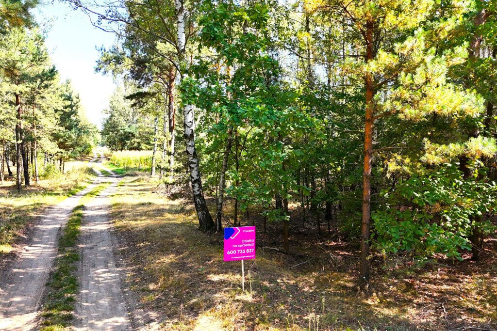 Działka 31,4 ar przy ul. Sosnowej w Dąbrówce Ług - zdjęcie 1