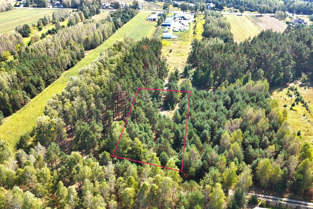 Działka 31,4 ar przy ul. Sosnowej w Dąbrówce Ług - zdjęcie 2