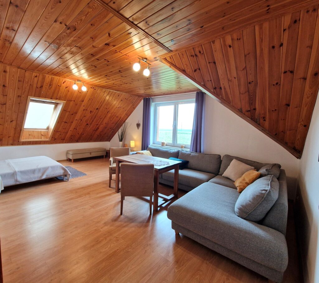 Duży zadbany dom z własnym lasem i stawem - zdjęcie 13