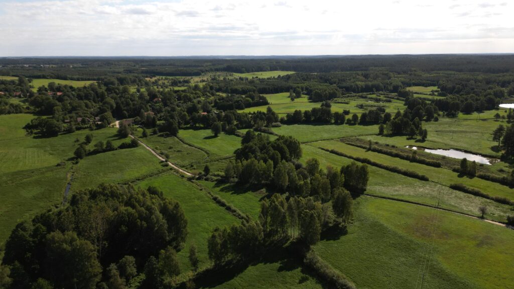 Atrakcyjna działka w Kabornie gm. Purda - zdjęcie 3