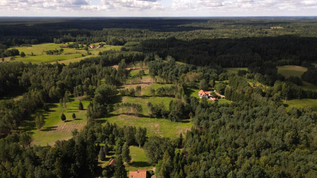Atrakcyjny kompleks 14działek w Kabornie gm. Purda - zdjęcie 4