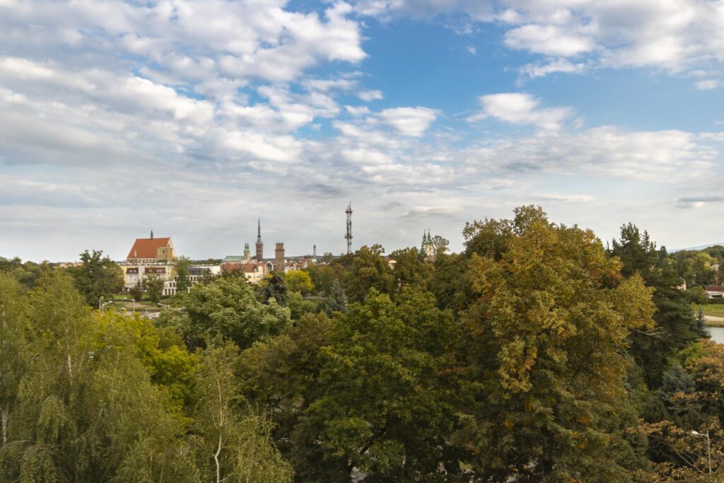 Mieszkanie z widokiem na panoramę miasta i góry - zdjęcie 4
