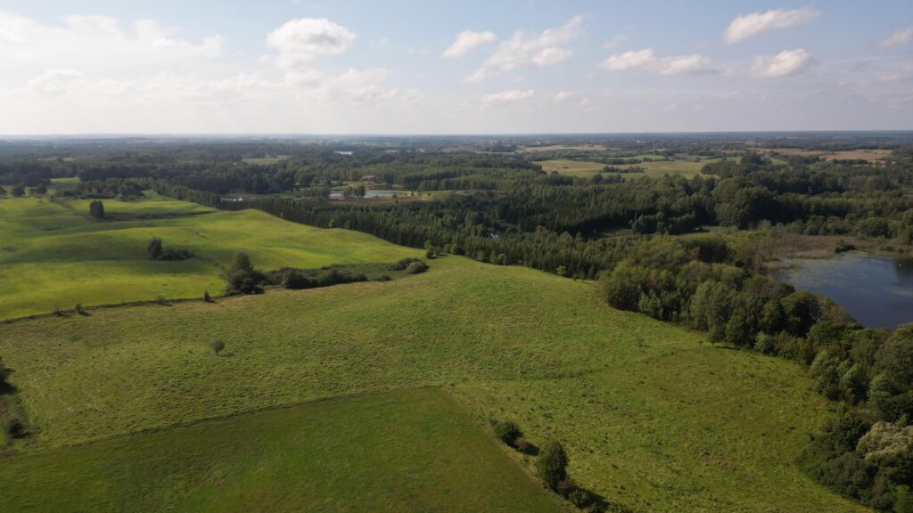 Działki na Mazurach – Elganowo, gm. Pasym, 10 ar - zdjęcie 7