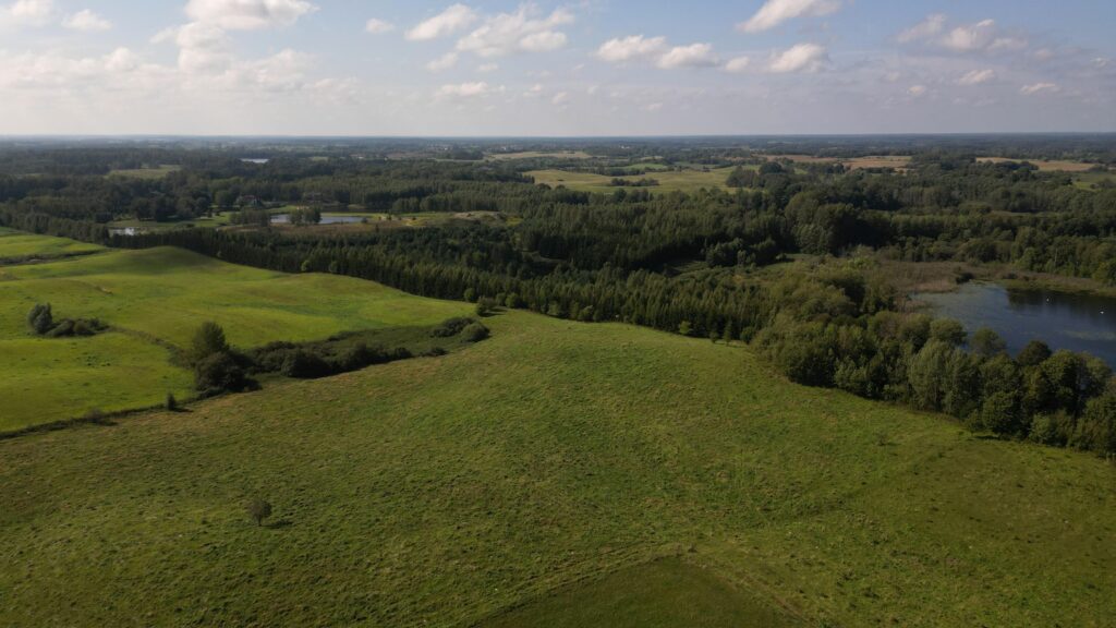 Działki na Mazurach – Elganowo, gm. Pasym, 10 ar - zdjęcie 8