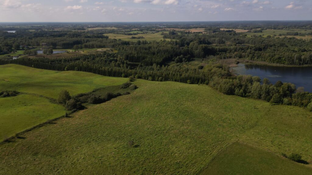 Działki na Mazurach – Elganowo, gm. Pasym, 10 ar - zdjęcie 9