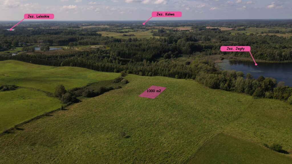 Działki na Mazurach – Elganowo, gm. Pasym, 10 ar - zdjęcie 2