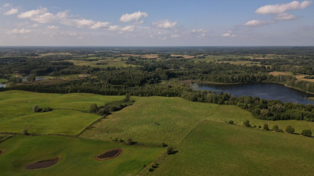 Działki na Mazurach – Elganowo, gm. Pasym, 10 ar - zdjęcie 10